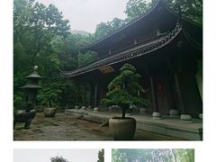 -虎跑公园