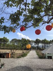 -DORA kids 朵拉儿童摄影花园店