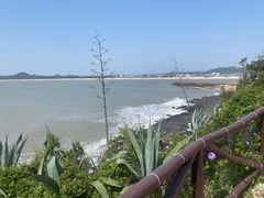 -漳州滨海火山岛自然生态风景区