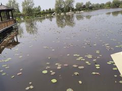 -羊亭河湿地公园