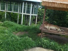 -西安秦岭野生动物园