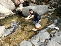 -赵记煎饼卷大葱(泰山大街店)