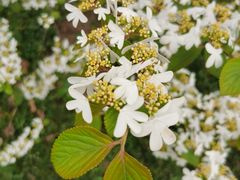 -华南国家植物园-售票处