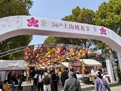 -南汇桃花村