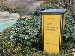 -大连金石滩绿发温泉假日酒店