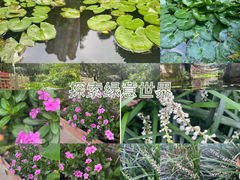 -晓港公园