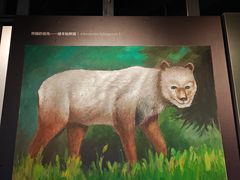 -长江文明馆