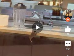 -粤集·手工粤菜(皇庭广场店)