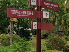 -东郊椰林
