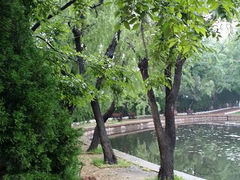 android_upload_pic-八大关景区