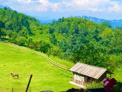 -青城山