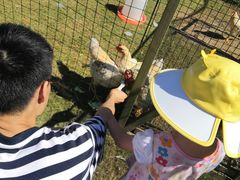 -前小桔亲子创意农场·草莓采摘·露营烧烤