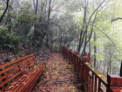 -石燕湖生态旅游景区