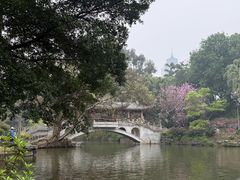 -柳侯公园