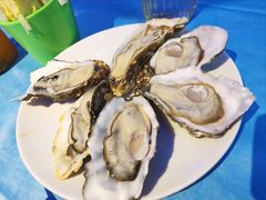 -千岛蚝高压锅生蚝·人参火锅(白云万达店)