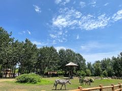 -大连森林动物园