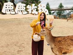 -盈香心动乐园