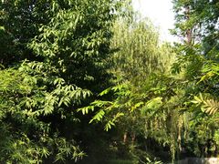-吴越荣记苏州菜·松鼠桂鱼100%活鱼现做(斜塘老街店)