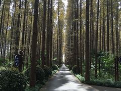 -上海怡沁园度假酒店