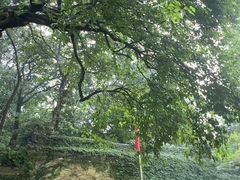 -普陀山慧济禅寺