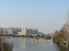 -洋湖国家湿地公园