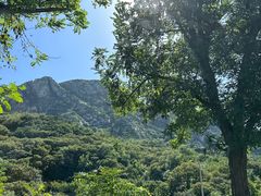 -大泽山风景名胜区