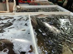 -滨海新区远洋城菜市场