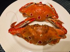 -怡聚轩全日制自助餐厅(大中华喜来登酒店)