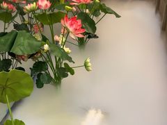 -历蜀记·家宴老火锅(总店)