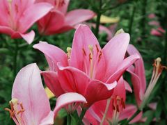 -长春公园(普阳街道)