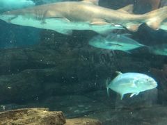 -鼎旺麻辣锅(二店)