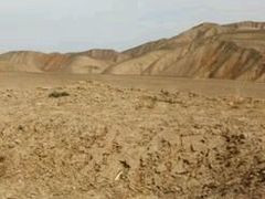 -恩格贝生态旅游区