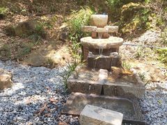 -广州白江湖森林公园