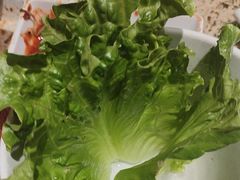-安又胖韩国烤肉(泰达永旺店)