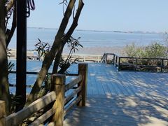 -吴淞炮台湾湿地森林公园烧烤区