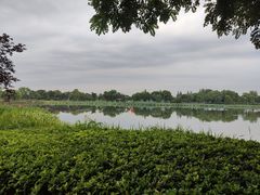 -尚湖风景区