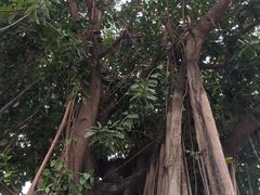 -人民公园(罗湖区)