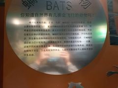 -河南自然博物馆