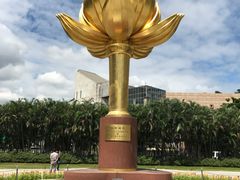 -金莲花广场