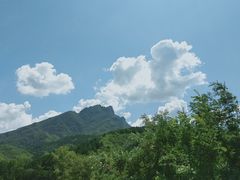 -遥桥古堡