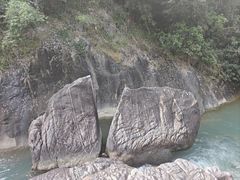 -广州白江湖森林公园