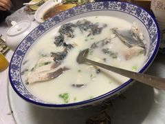 -全乐鱼馆·淳牌有机鱼直营店