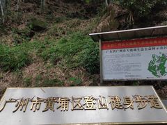 -天鹿湖森林公园