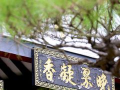 -碧江金楼