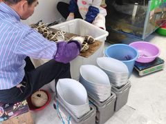 -阳澄湖大闸蟹·琼灵阁牌品牌连锁(吴中总店)
