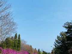 -棒棰岛宾馆景区