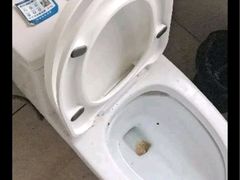 -西安啄木鸟手机电脑维修