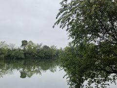 -新荣记(西溪湿地店)