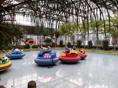 -南宫五洲植物乐园