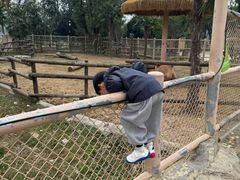 -武汉动物园